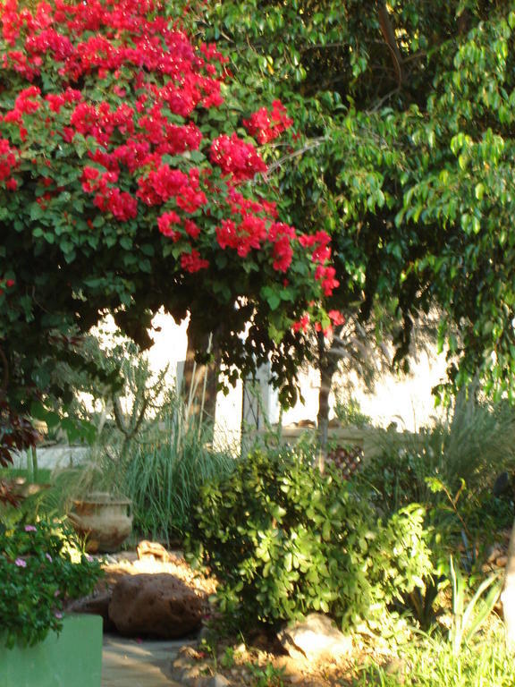 Corona Guest Farm Kültér fotó